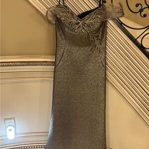 Elegant Metallic Dress with Sheer Sleeves